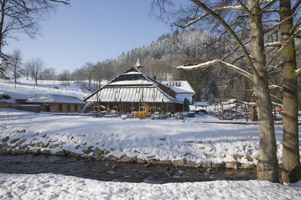 באדן-באדן Gaestehaus Der Geroldsauer Muehle מראה חיצוני תמונה